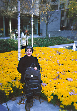 moma2.jpg