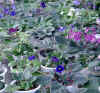 01070005.jpg (362854 �o�C�g)