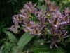s021017-17.jpg (312560 �o�C�g)