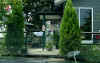 kot03082701.jpg (92470 バイト)